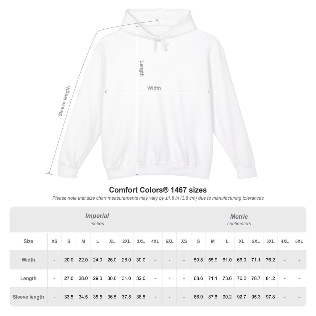 Fish Brain Substitution Plan Hoodie — Vintage Unisex Surreal Graphic Pullover