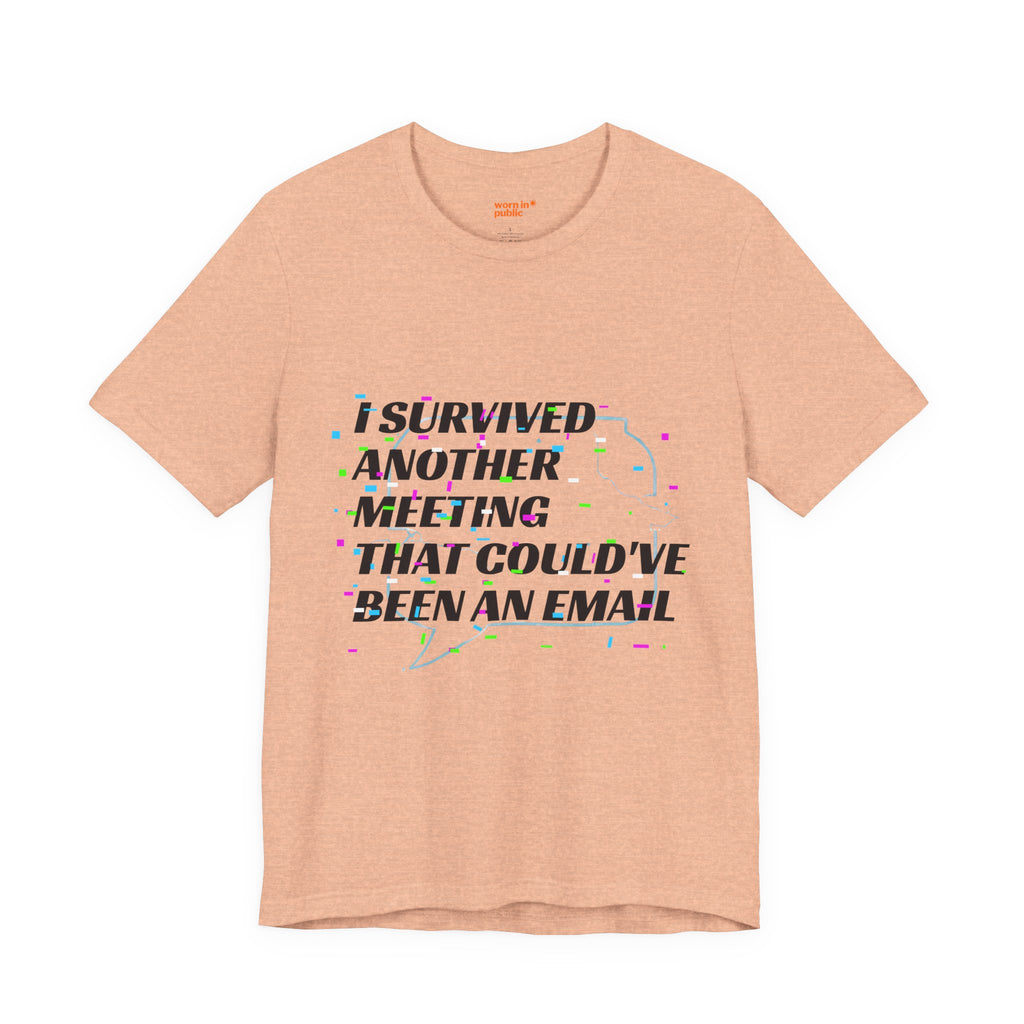 I Survived Another Meeting That Could've Been an Email T-Shirt | Funny Office Humor Tee