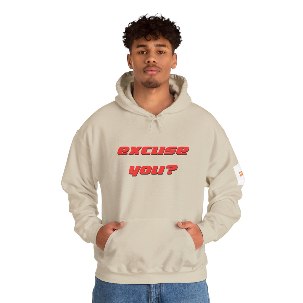 Excuse You? Hoodie | Retro Red Text Graphic Pullover