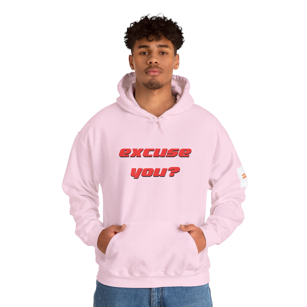 Excuse You? Hoodie | Retro Red Text Graphic Pullover