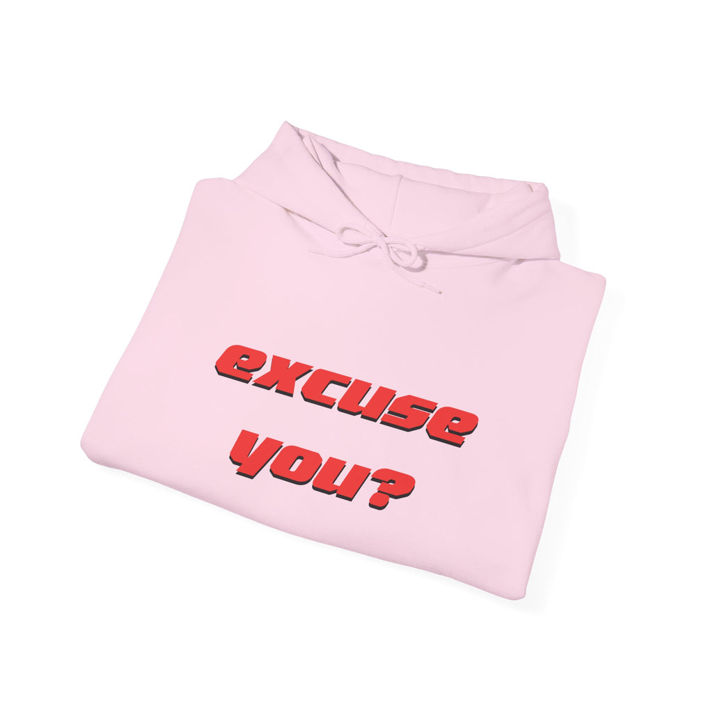 Excuse You? Hoodie | Retro Red Text Graphic Pullover