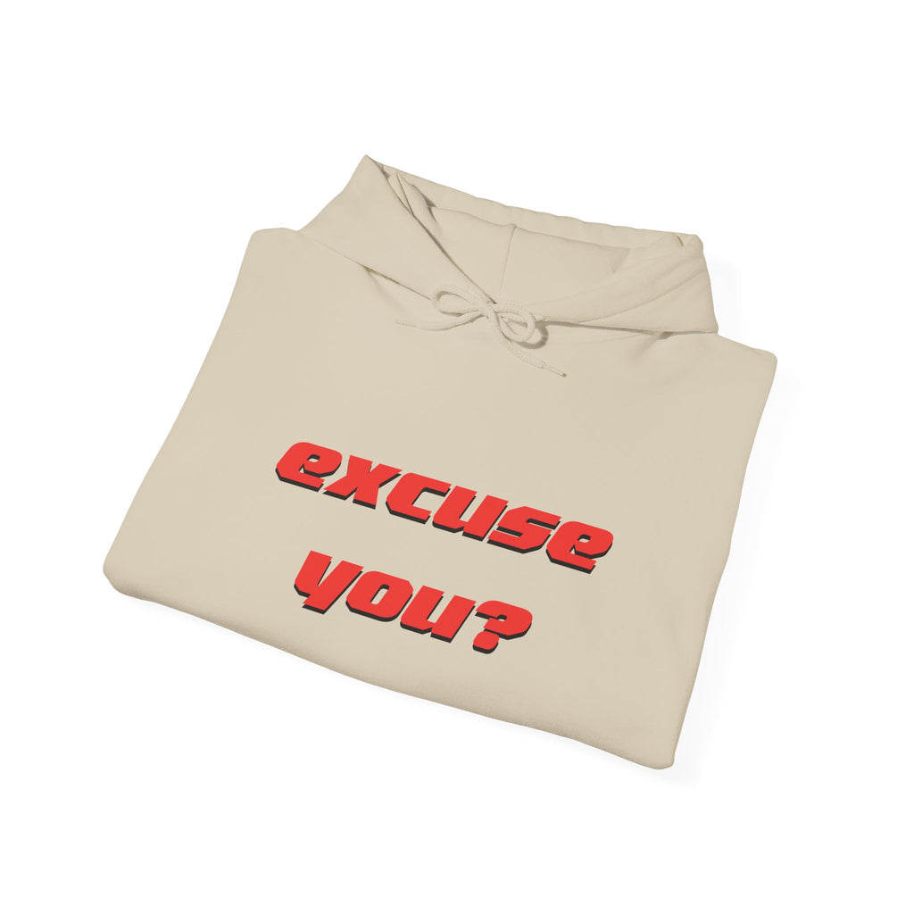 Excuse You? Hoodie | Retro Red Text Graphic Pullover
