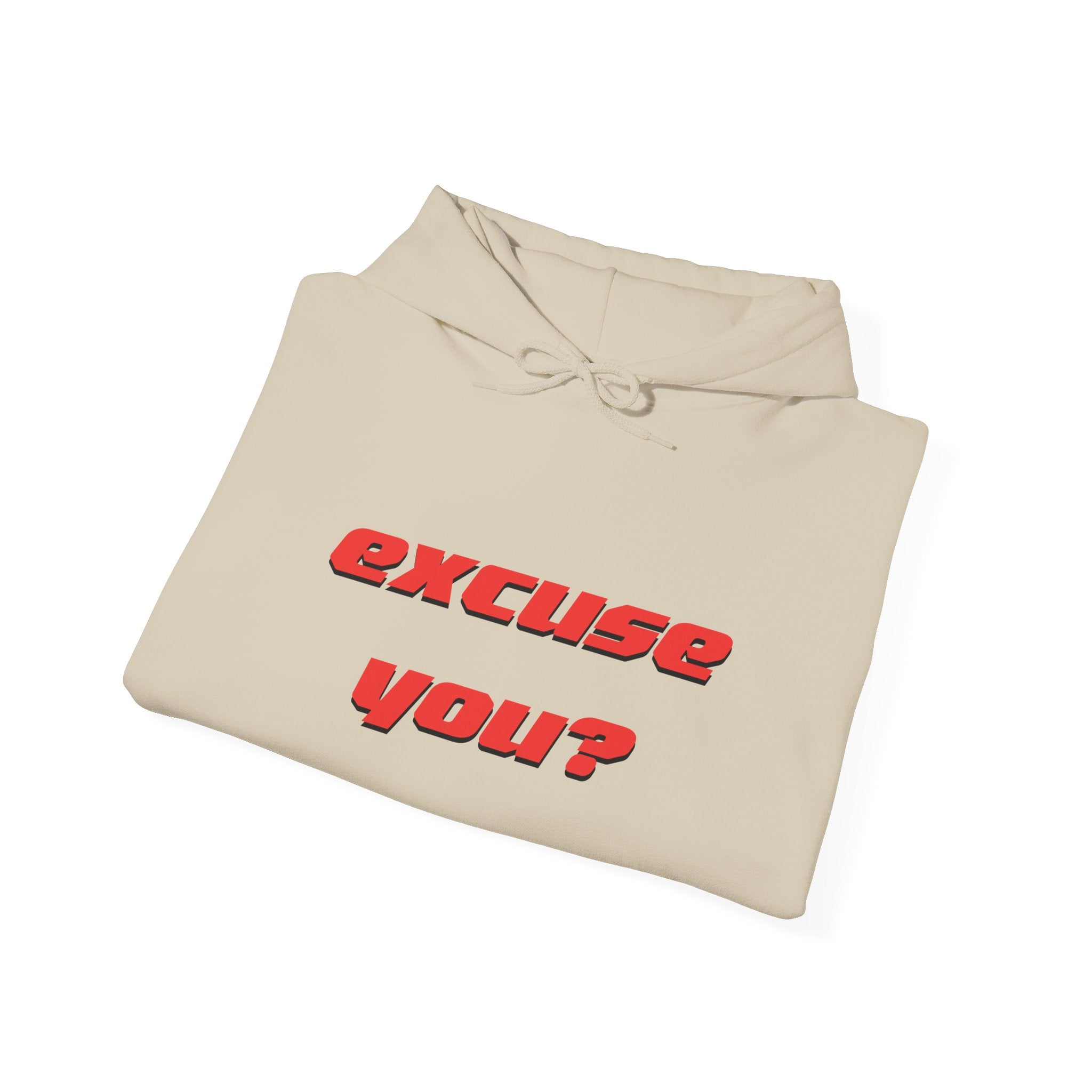 Excuse You? Hoodie | Retro Red Text Graphic Pullover