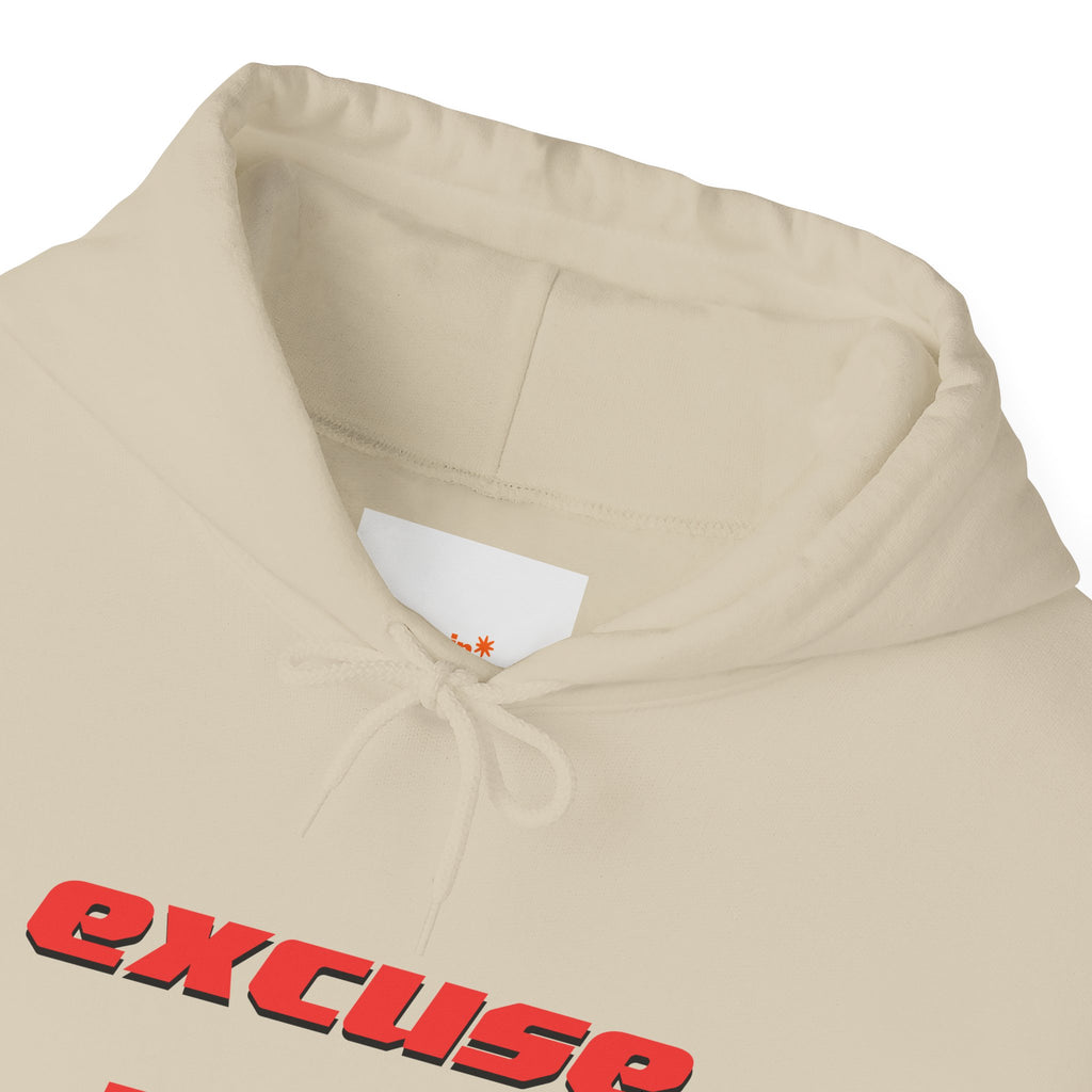 Excuse You? Hoodie | Retro Red Text Graphic Pullover